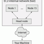 Default network topology
